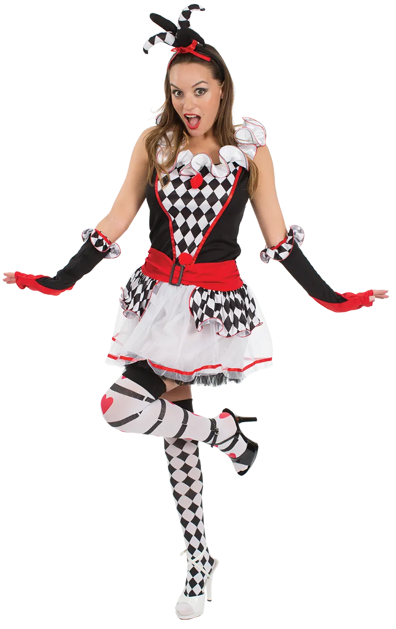 Adult Harlequin Jester Costume