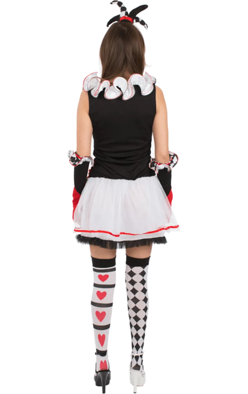 Adult Harlequin Jester Costume