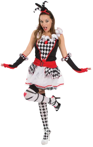 Adult Harlequin Jester Costume