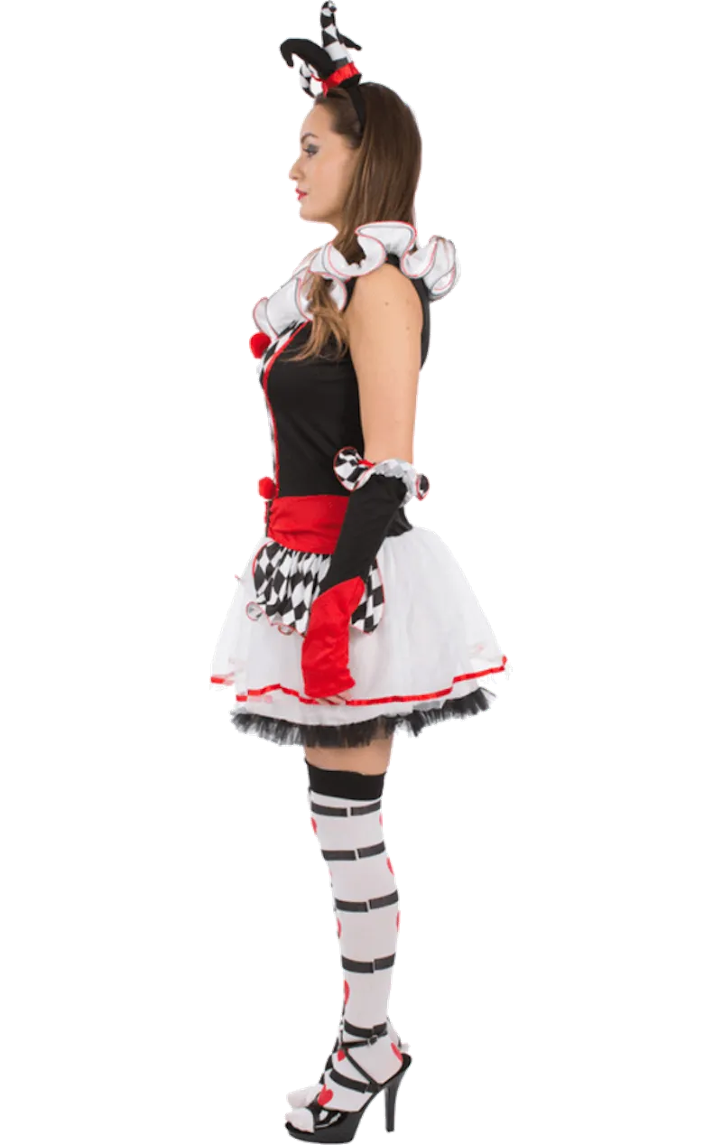 Adult Harlequin Jester Costume