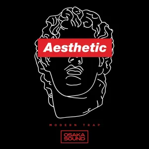 Aesthetic - Modern Trap - Hip Hop (Drum Loops top loop)