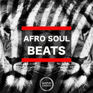 Afro Soul Beats - Construction kits - Loops - Shots
