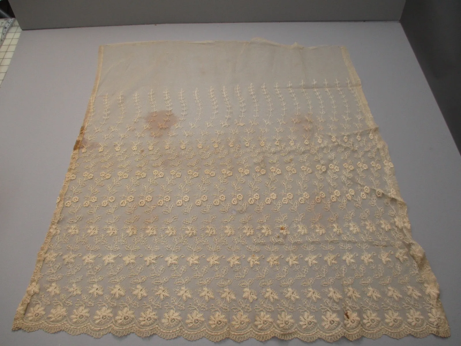 Antique Victorian edge lace  embroidered net