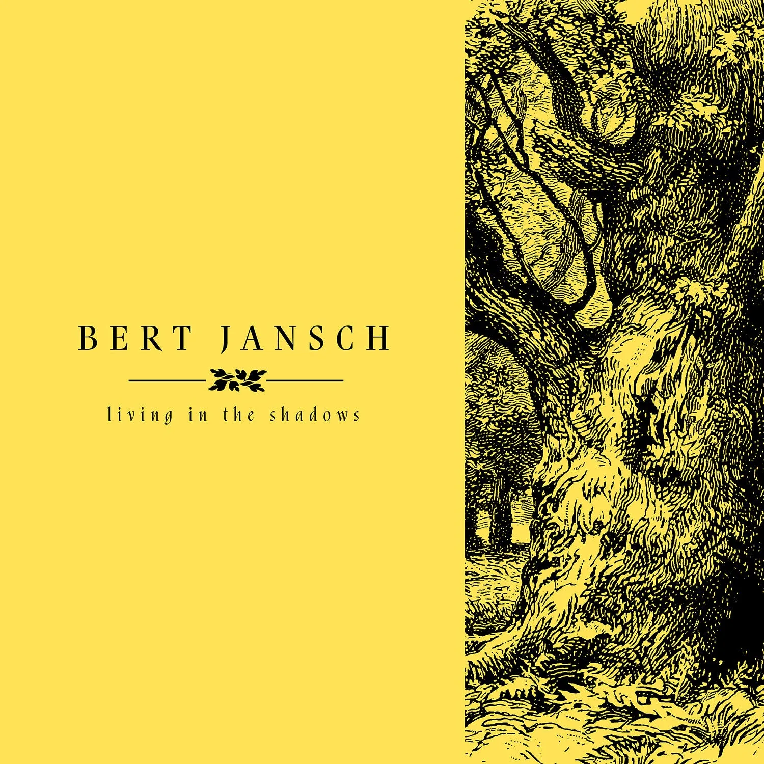 Bert Jansch 'Living In The Shadows'