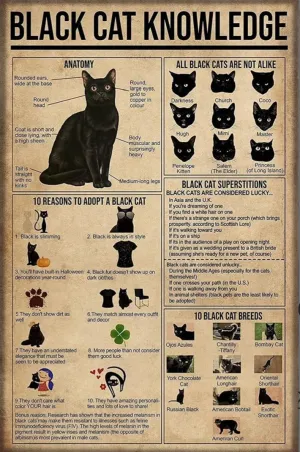 Black Cat Knowledge AI Created One of a Kind Digital Download Canvas Poster Wall Art DIY Printable DIY Craft Supply AI Enhanced Print Collection Versatile Digital Designed Instant Download Fairycore Cottagecore DIY Craft (Copy)