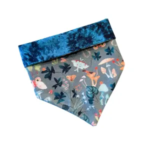 Enchanted Forest Bandana