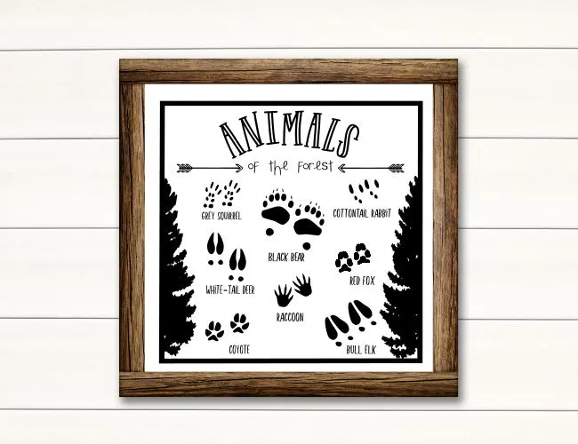 ENCHANTED FOREST NURSERY