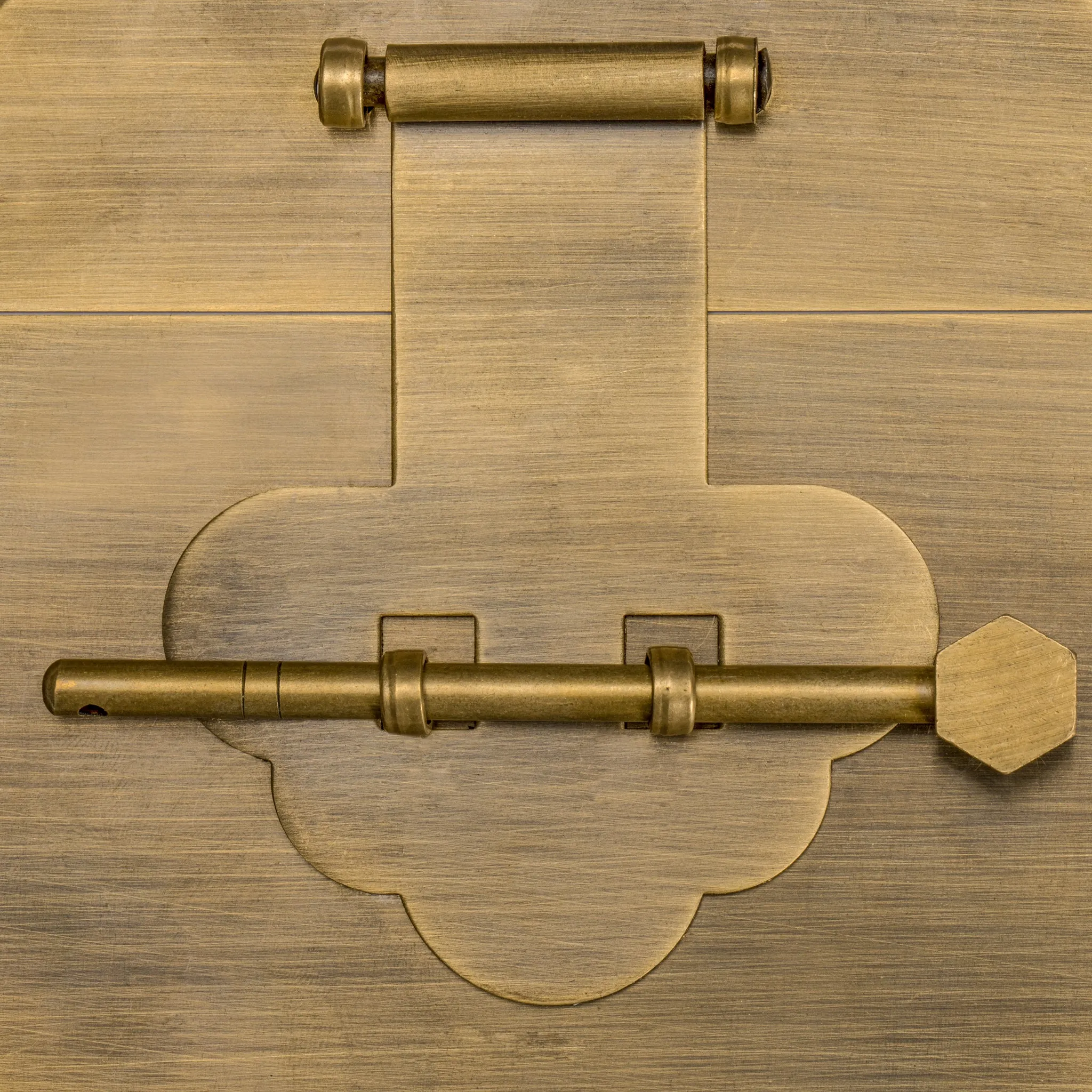 Enchanted Mushroom Brass Chest Face Plate (6.3")