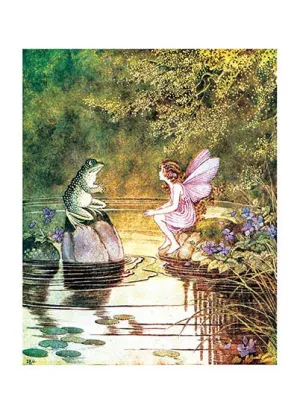 Frog & Fairy Talking