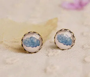 Glass Picture Studs (Objects/Misc)