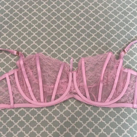 Honey Birdette Rebecca Sweet Pink Lace Bra 38H