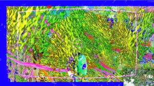 Jenny Rodenhouse, "The Enchanted Forest: Satellite Canopies and Digital Understories"