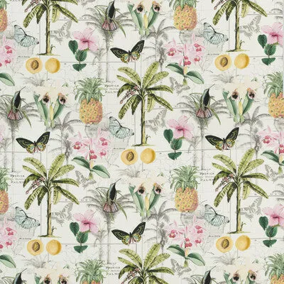 Orinoco-Tropical