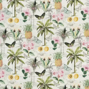 Orinoco-Tropical