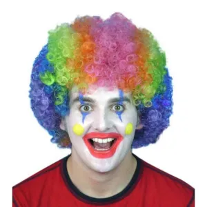 Rainbow Curly Clown Wig