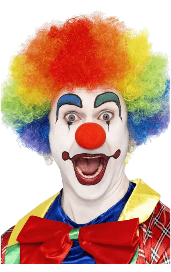Rainbow Economy Clown Wig