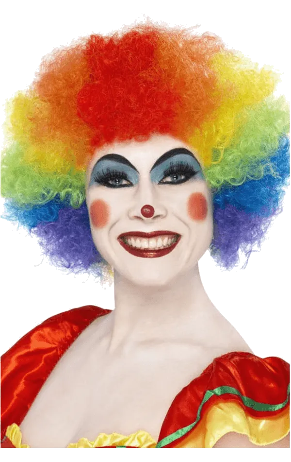 Rainbow Economy Clown Wig