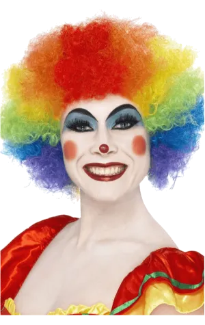 Rainbow Economy Clown Wig