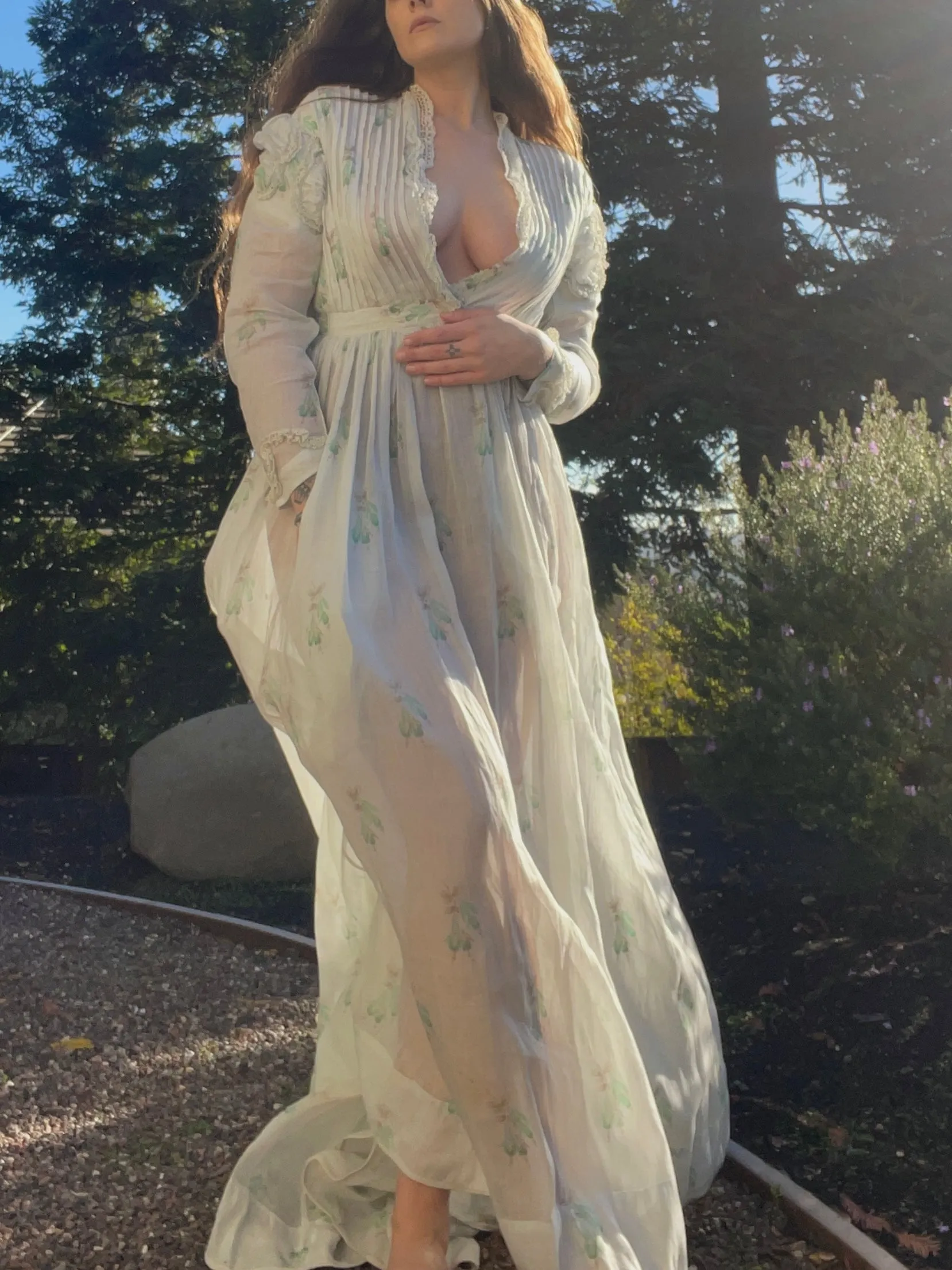 Rare Civil War Era Fine Printed Muslin Afternoon Dress