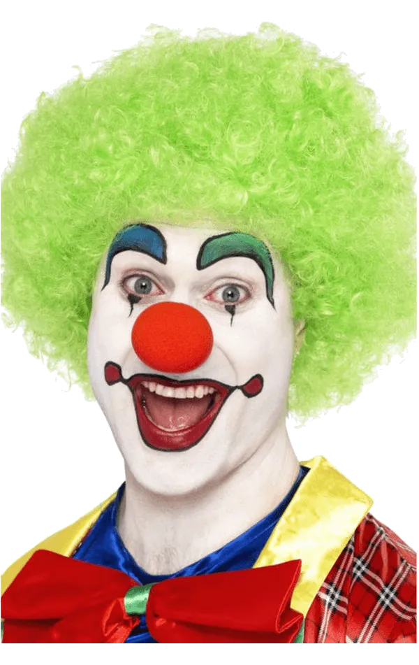 Unisex Green Clown Afro Wig