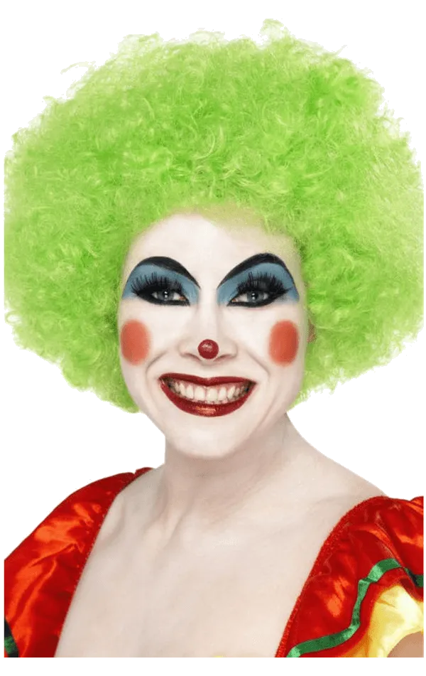 Unisex Green Clown Afro Wig