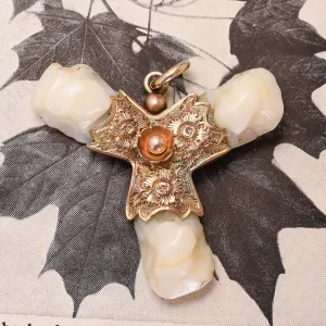 Victorian Bavarian Charivari Elk Tooth Hunting Amulet