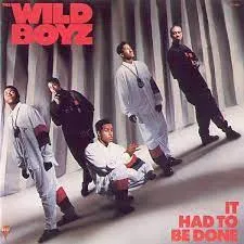 Wild Boyz - It Had To Be Done